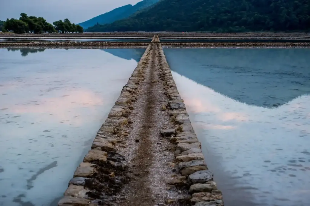 Historici prozrazují: tato běžná věc v české domácnosti byla kdysi vzácnější než zlato.