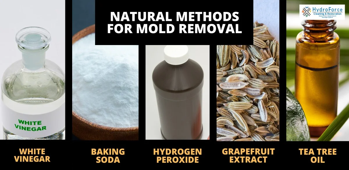 Obyčejná křída v šatníku zabrání plísni a vlhkosti. - image 2