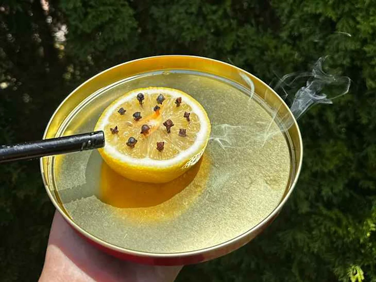 Položte citrónové slupky na okenní parapet a hmyz zmizí - image 1