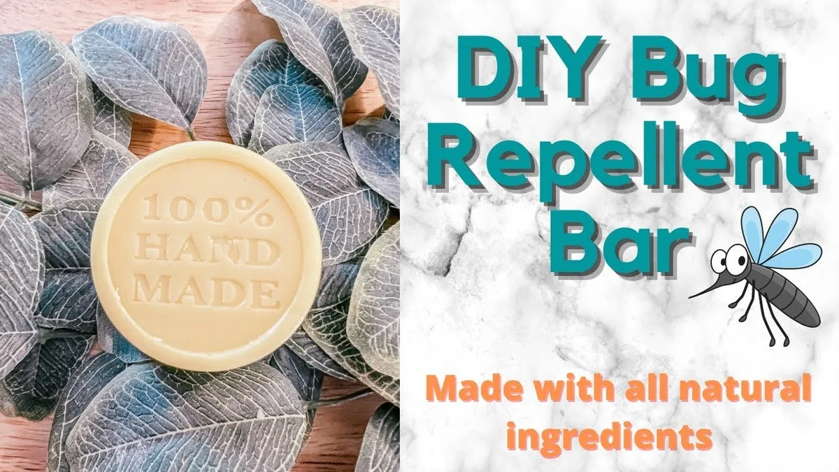 Položte citrónové slupky na okenní parapet a hmyz zmizí - image 2