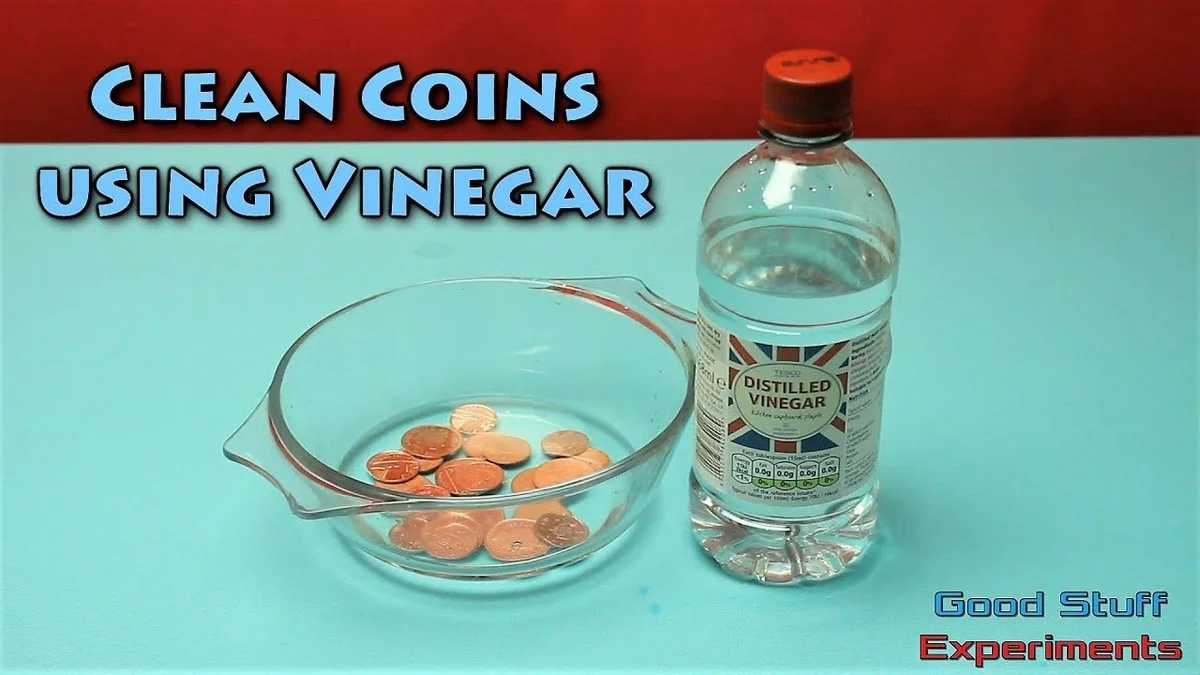 Položte minci do vázy s květinami a vydrží dvakrát déle - image 2