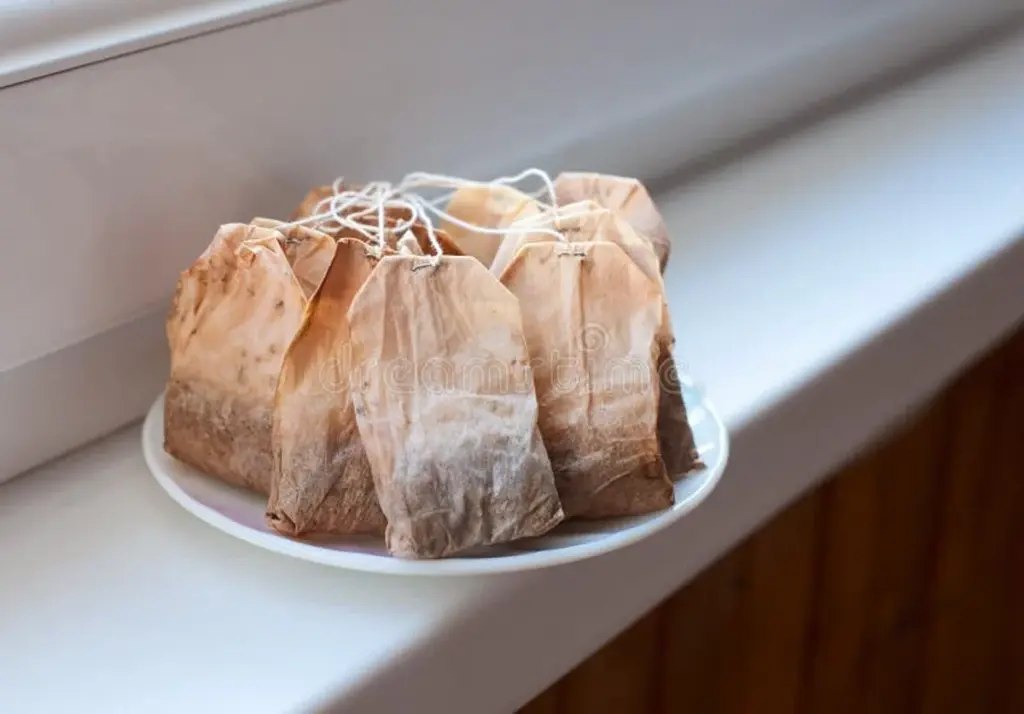 Použitý čajový sáček na okně? Proč tím zaženete dotěrný hmyz.