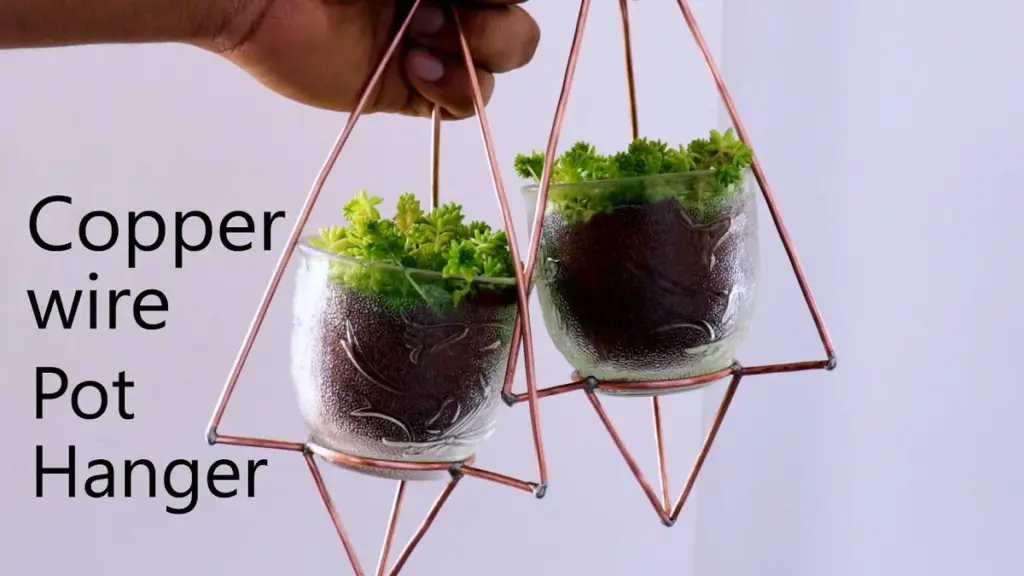 Proč dát měděný drát do květináče? Tajemství zahradníků pro zdravější rostliny