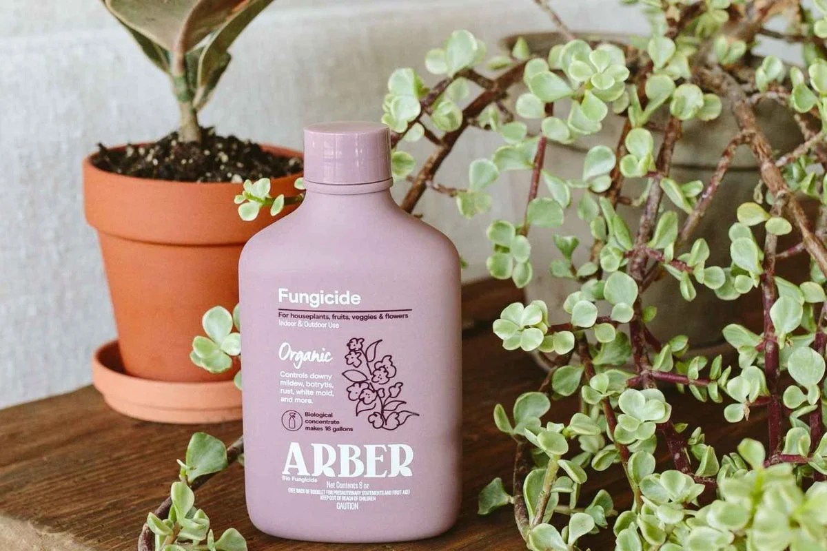 Proč dát měděný drát do květináče? Tajemství zahradníků pro zdravější rostliny - image 2