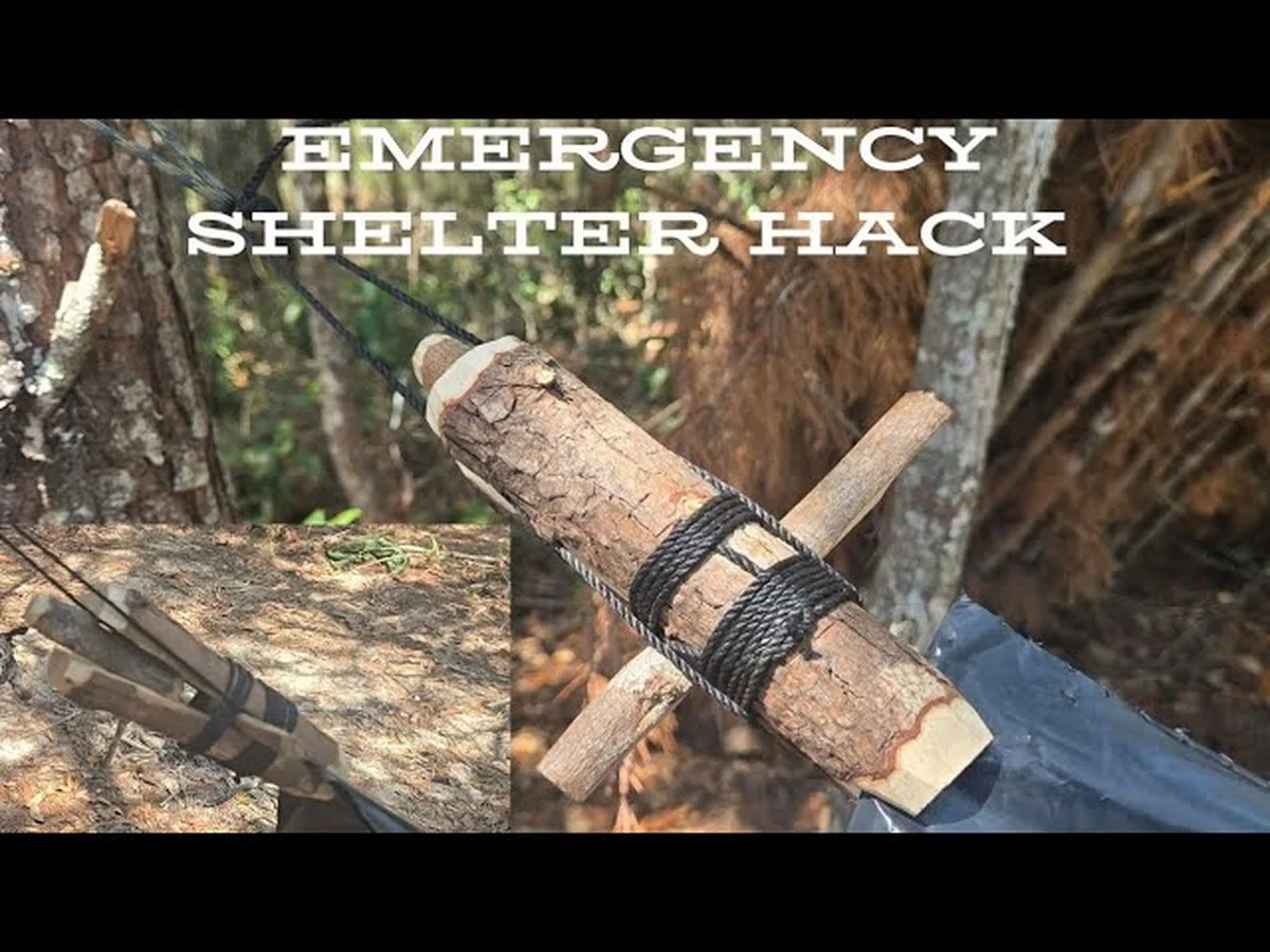 Proč dát minci do zmrzlé vody: Geniální trik při výpadku elektřiny - image 2