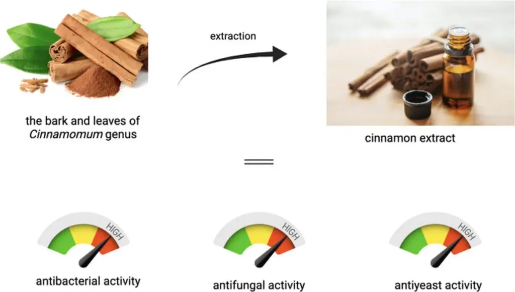 Antibakteriální vlastnosti skořice: vědecké vysvětlení, proč odstraňuje pachy z obuvi.
