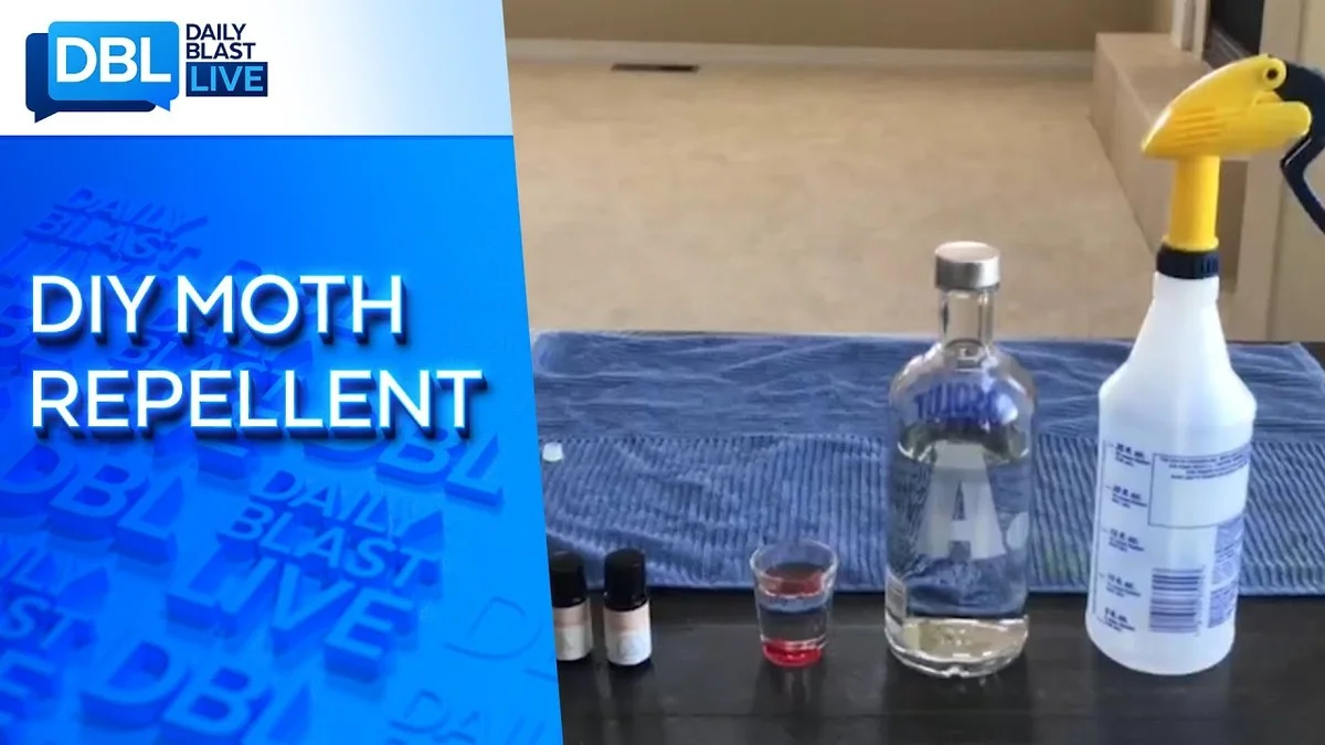 Bobkový list v mouce: zapomenutý trik našich babiček proti molům - image 1