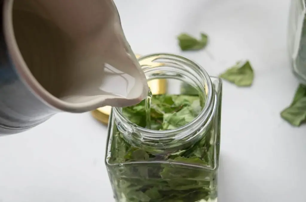 Březová voda na vlasy? Tajemství lesklých vlasů našich babiček.