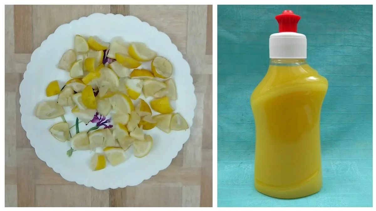 Citronová kůra v myčce: Zářivé nádobí bez chemikálií - image 1