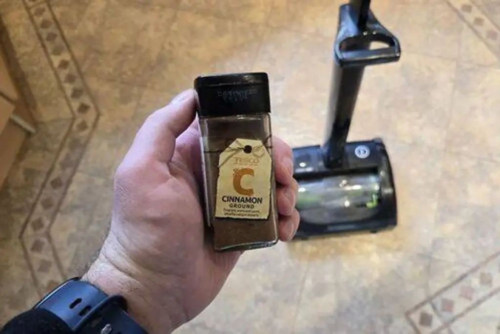 Dejte skořici do vysavače: Geniální trik pro provoněný domov.