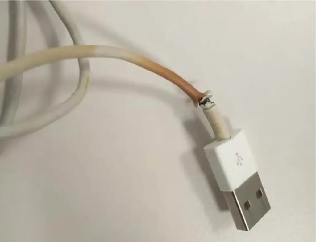 Elektrikáři varují: Nikdy nenechávejte tuto nabíječku zapojenou přes noc