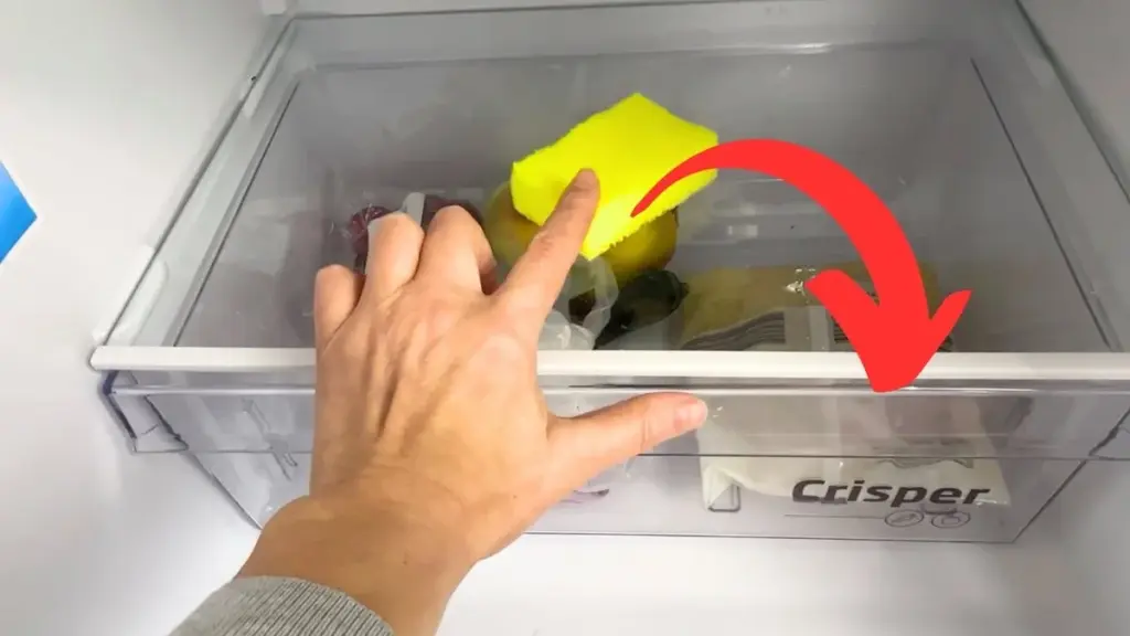 Houba na nádobí v lednici: Překvapivý způsob, jak absorbovat pachy