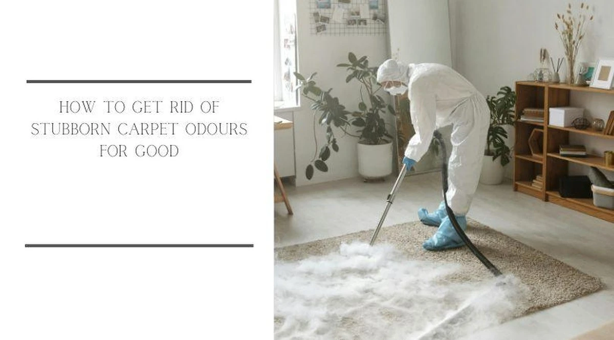 Jedlá soda na koberce: Jak odstranit skvrny bez drahých čističů. - image 2