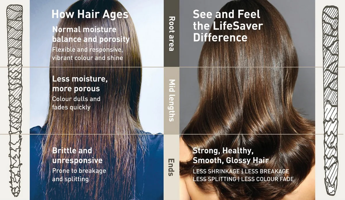 Kadeřníci varují: Tento běžný šampón ničí vaše vlasy postupně - image 1