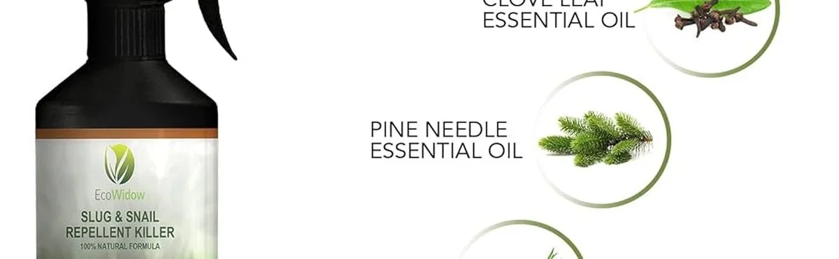 Kávová sedlina na zahradě: přírodní obrana proti slimákům a mravencům. - image 2