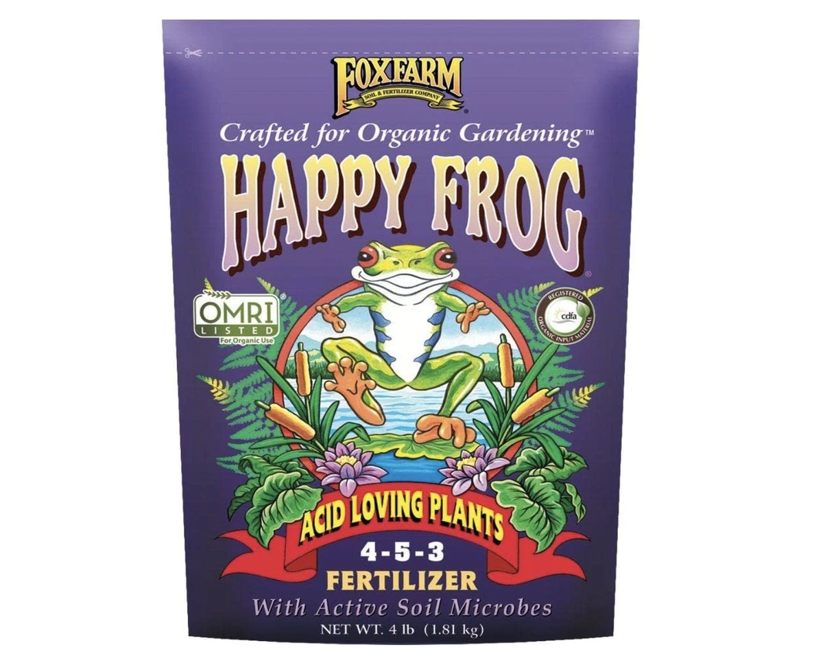 Kávová sedlina v květináči? Proč rostliny pookřejí během 48 hodin. - image 2