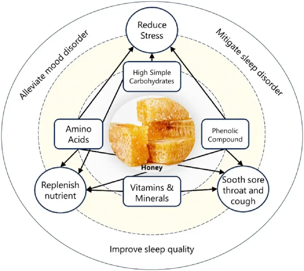 Lžička medu před spaním? Proč vědci tvrdí, že zlepšuje kvalitu spánku o 35%.
