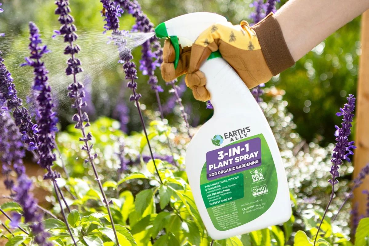 Mince v květináči? Rostliny vám poděkují tímto způsobem. - image 2