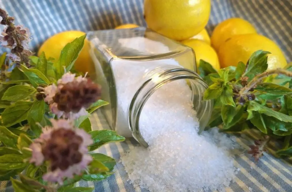 Mořská sůl v zahradě? Překvapivý fakt: obsahuje 84 minerálů prospěšných pro rostliny.