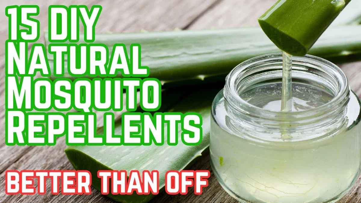 Položte skořici na parapety: Proč mravenci okamžitě zmizí z vašeho domova. - image 2