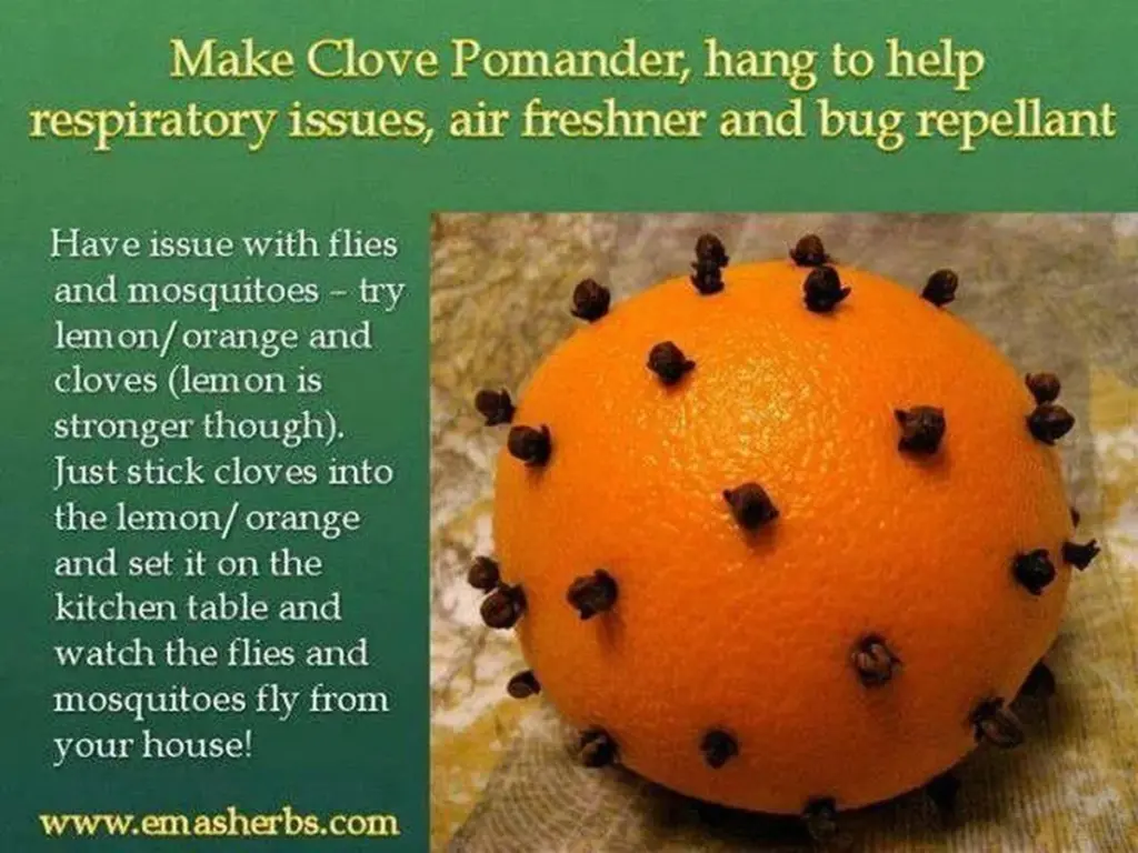 Pomeranč s hřebíčkem na stole? Přirozená metoda jak odehnat mouchy.