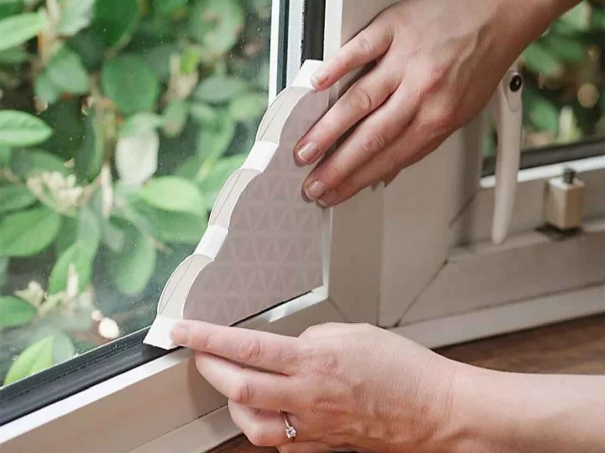 Použijte kávovou sedlinu na parapetu: Zapomenutý trik proti mravencům. - image 1