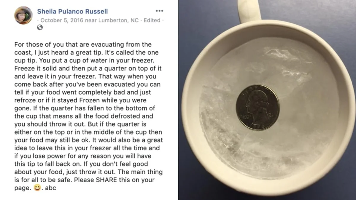 Proč dát minci do zmrzlé vody? Trik, který vás ochrání při výpadku proudu - image 1