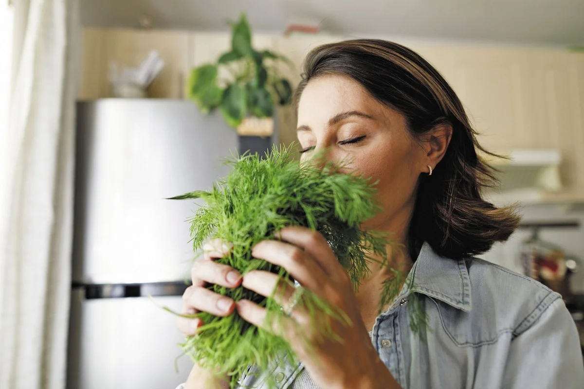 Proč položit cibuli vedle postele? Staré řešení pro moderní problém - image 2