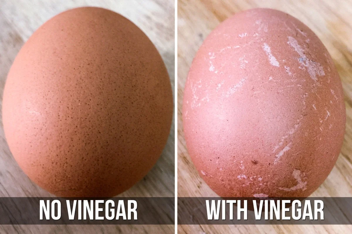 Proč šéfkuchaři vždy přidávají ocet do vařících se vajec. - image 1