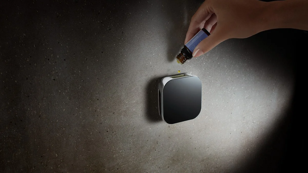 Proč zavěsit váček s levandulí na sprchu: Efekt, který překvapí každého návštěvníka. - image 1