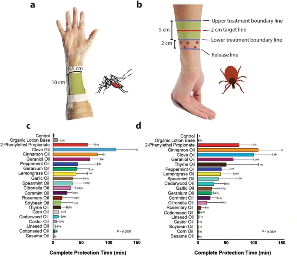 Skořice na parapetu? Zajímavý fakt o účinku přírodních terpenů na hmyz.