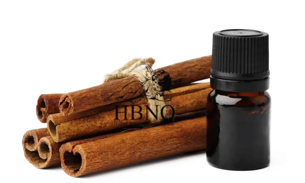 Skořice na parapetu? Jak toto koření odpuzuje mravence přirozeně.