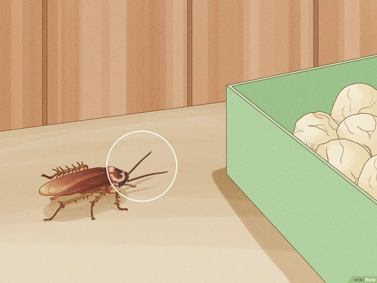 Vložte bobkový list do mouky: 100 let starý trik proti škůdcům. - image 2