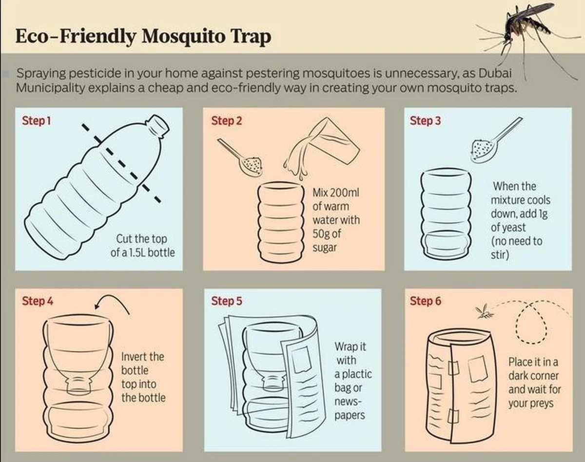 Vložte hřebíčky do citrónu: Odpuzovač hmyzu, který funguje týdny - image 1