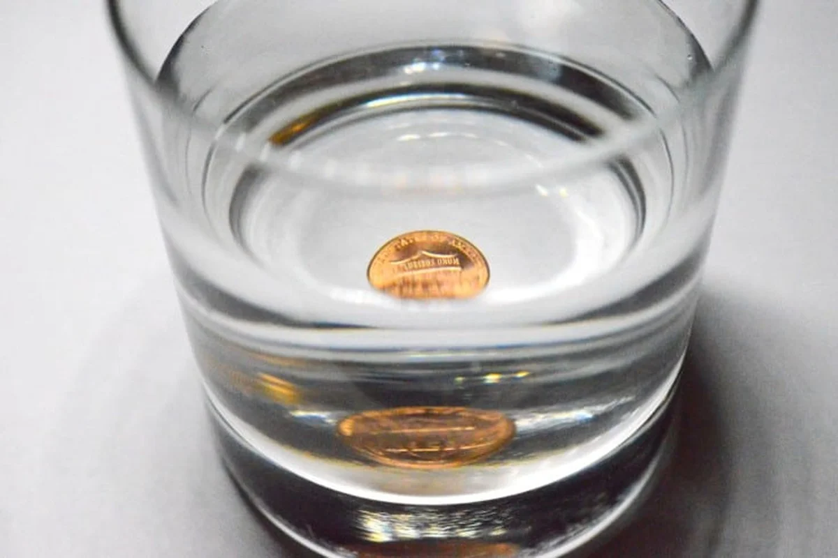 Vložte minci do vázy s květinami a vydrží dvakrát déle - image 2