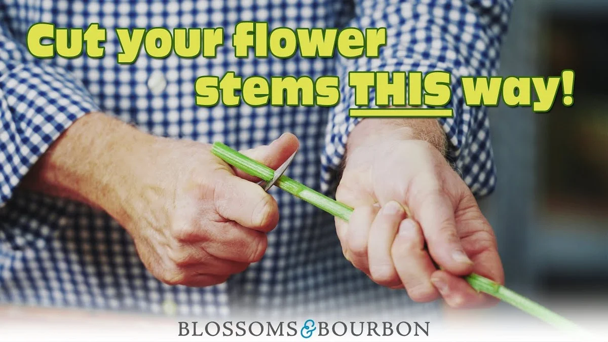 Vložte minci do vázy s květinami: Překvapivý důvod, proč vydrží dvakrát déle. - image 2