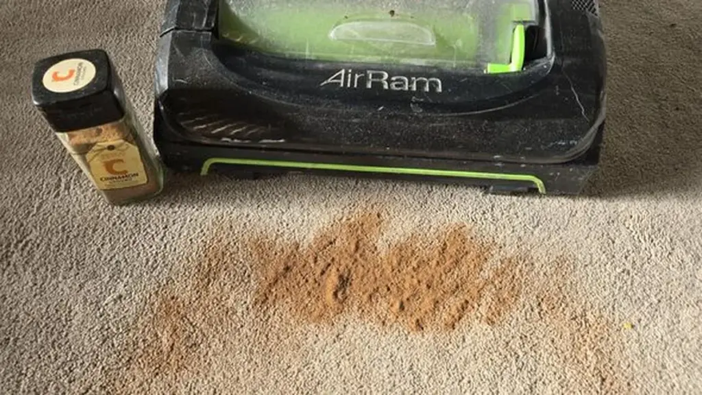 Vložte skořici do vysavače: Efekt, který provoní celý byt