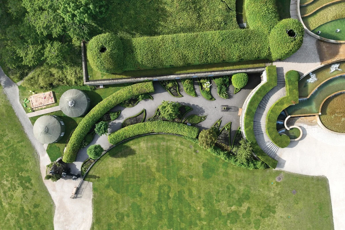 Zahradníci prozrazují: Nikdy nesázejte tyto rostliny blízko sebe - image 1