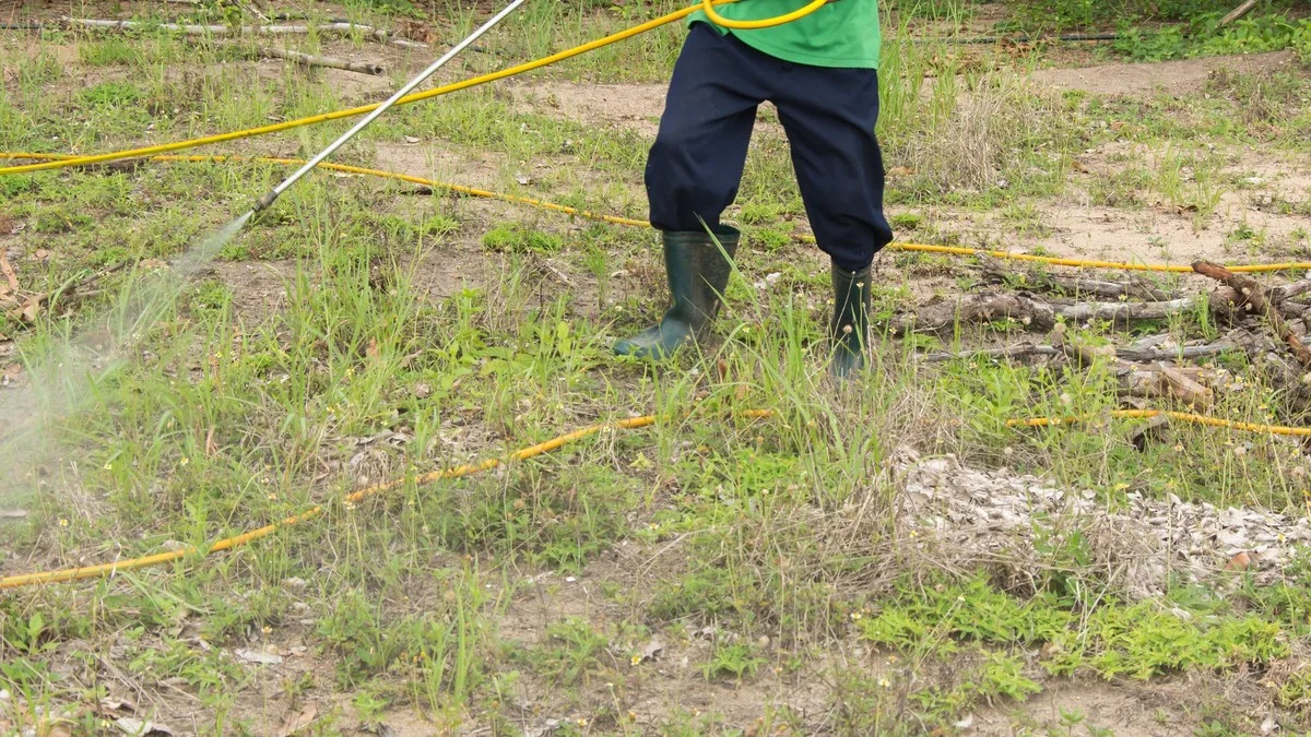 Zahradníci prozrazují: Proč nikdy nemíchat tuto zeminu s kompostem. - image 2