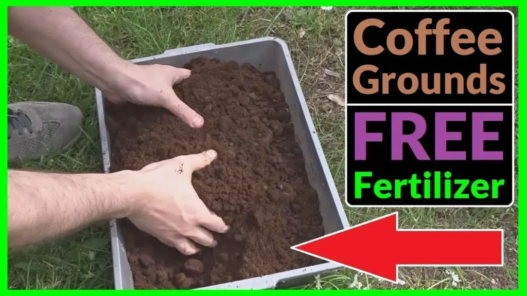 Kávová sedlina obsahuje 2% dusíku? Proto vaše rostliny rostou o 40% rychleji.