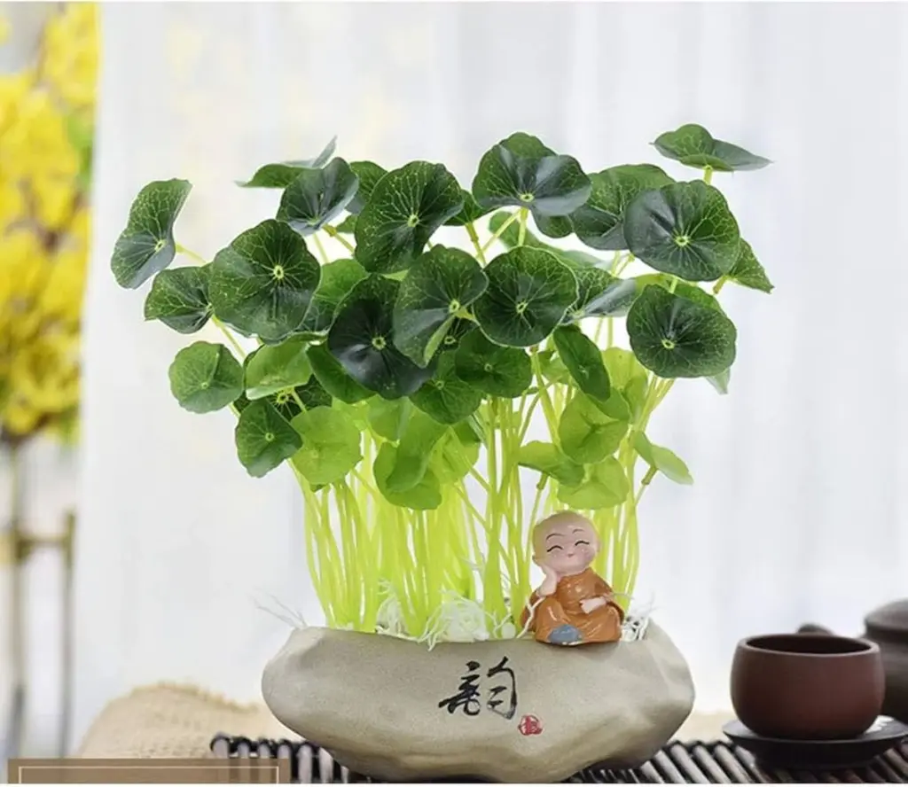 Mince v váze s květinami? Proto vydrží čerstvé o 5 dní déle.