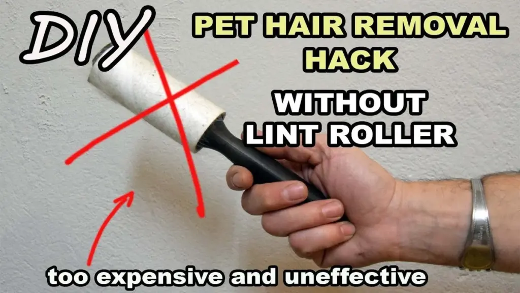 Obyčejná houba na nádobí odstraní chlupy domácích mazlíčků lépe než drahé kartáče