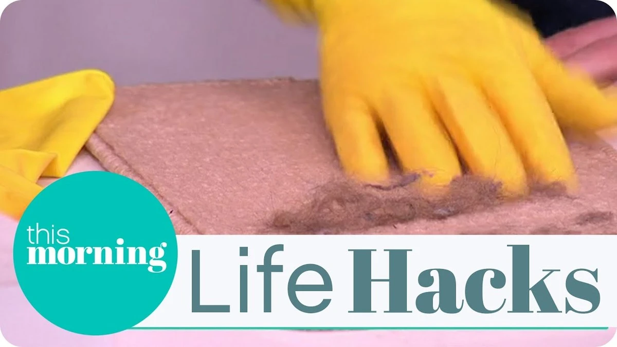 Obyčejná houba na nádobí odstraní chlupy domácích mazlíčků lépe než drahé kartáče - image 2