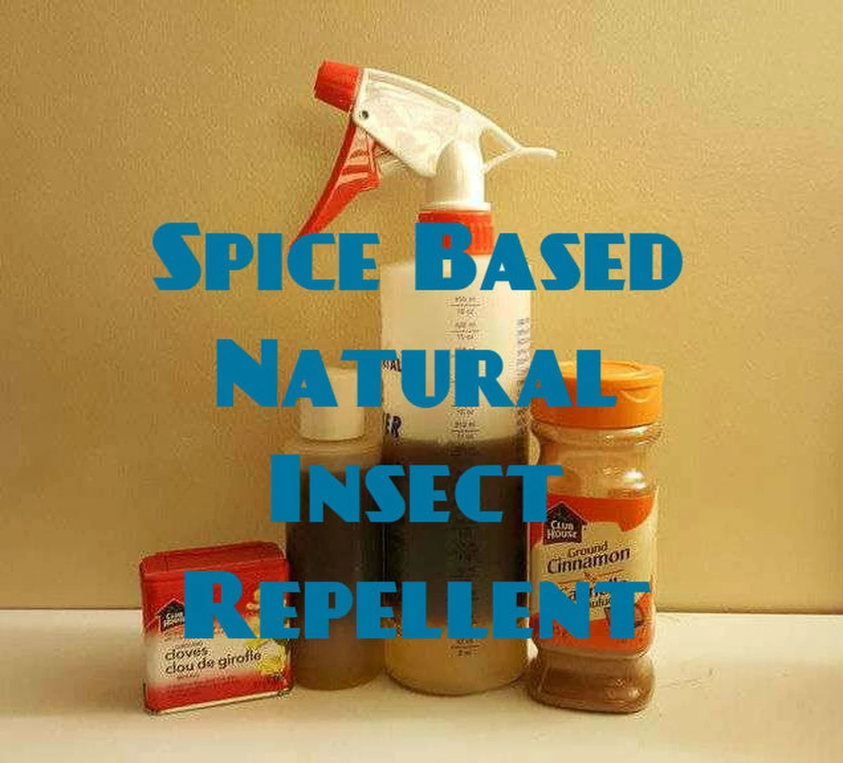 Proč dávat skořici do květináčů: Účinná ochrana proti mravencům. - image 2