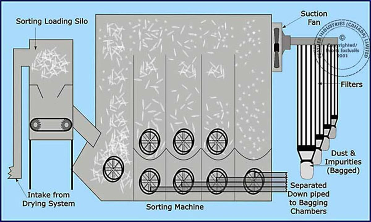 Proč dávat tenisové míčky do sušičky s peřinami: Trik, který šetří čas i energii - image 1