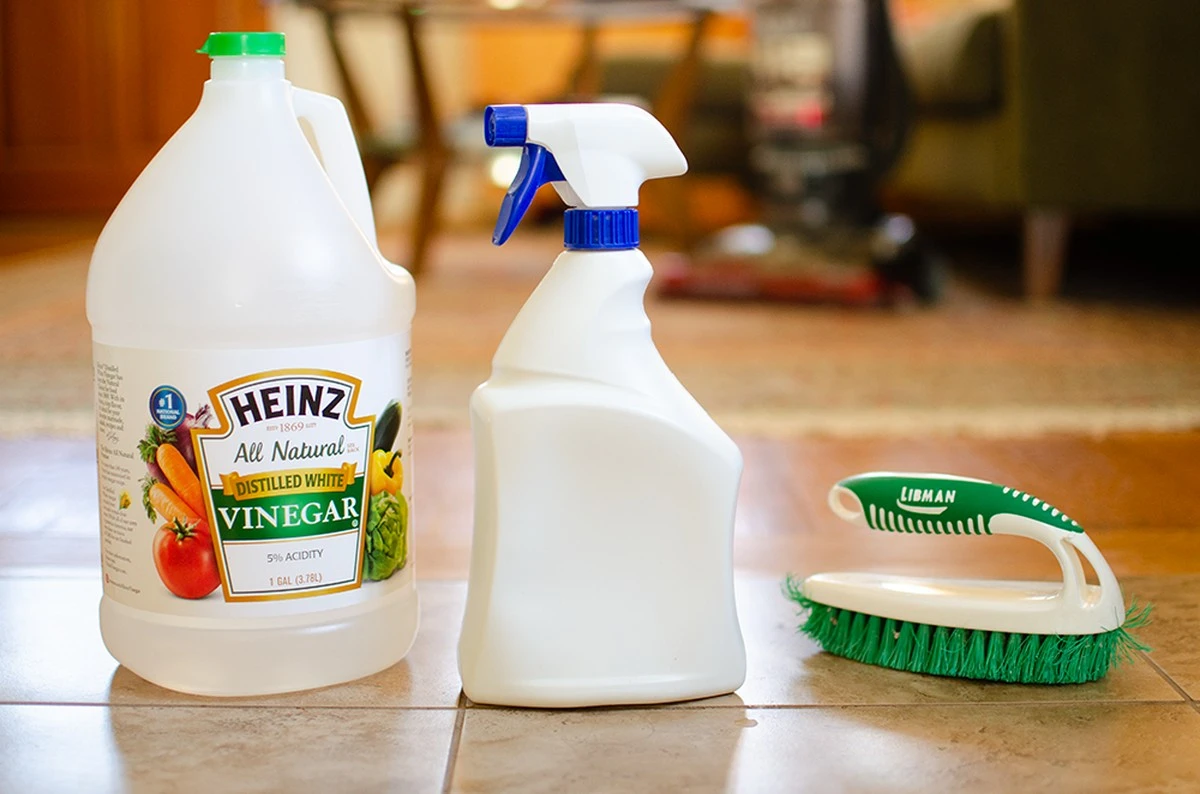 Skořice na parapetu: Proč odpuzuje mravence lépe než chemikálie - image 1