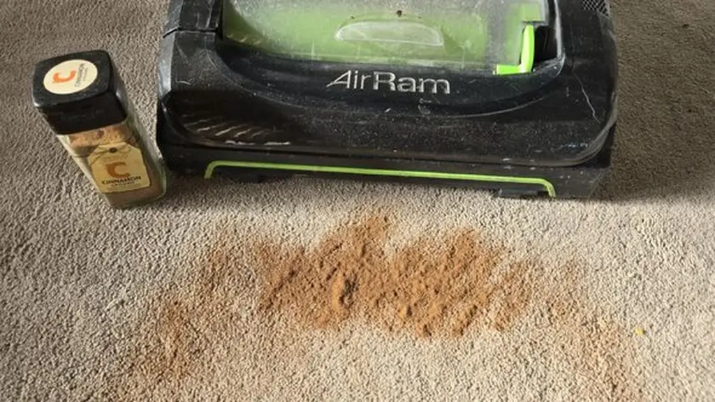 Vložte skořici do vysavače: Geniální trik pro provoněný domov.